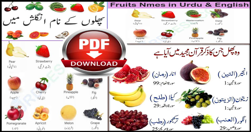 Fruits Vocabulary | English to Urdu with PDF
