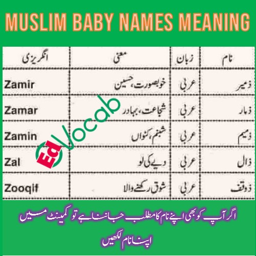 Name meaning of Zamir, Zamar, Zamin, Zal and Zooqif