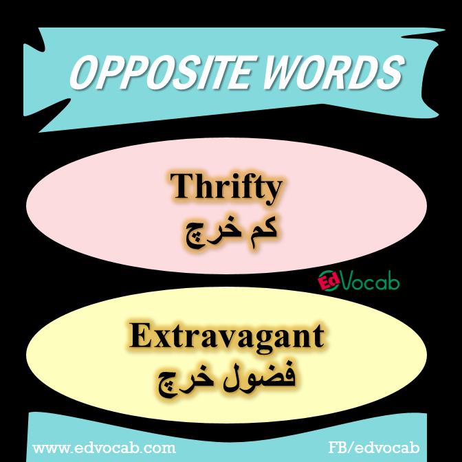 vocabulary words with meaning synonyms and antonyms pdf