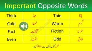 Download Words Opposites Pdf booklet Now