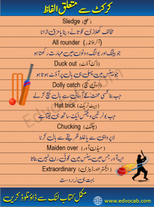 Cricket Vocabulary Words in Urdu and Hindi