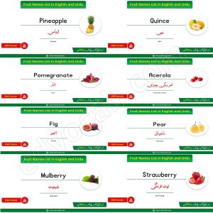 Fruit Names in Urdu and English with Pictures - EDvocab