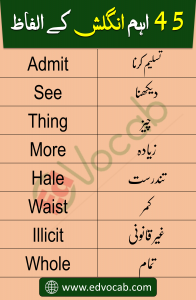  English Vocabulary in Urdu Important for Speaking English