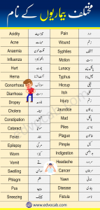 Diseases Names in English With Urdu Meanings