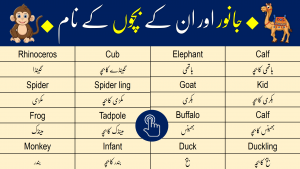 Click to Download Animals Names in English and Urdu PDF Booklet