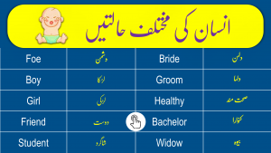 Click to Download Phases of Man in English and Urdu