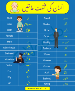 Download Phases of Man with Urdu Meanings