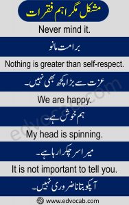 English To Urdu Sentences Set 1