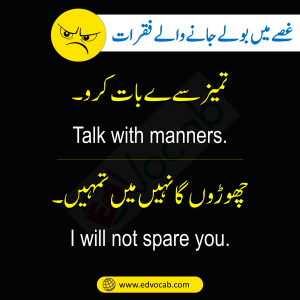 English to Urdu Sentences Used In Anger