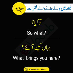 English to Urdu Sentences Used In Anger