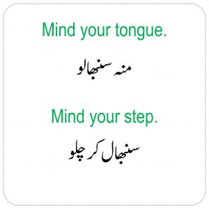 English To Urdu Sentences Set 1 