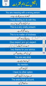 Download Daily Use English to Urdu Sentences PDF Booklet