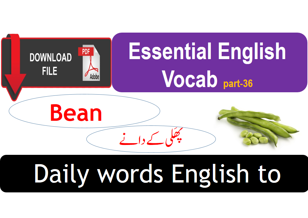 3000 Most Important Words Vocab Part 36 With PDF EDVocab