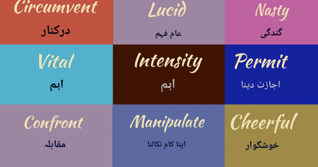 vocabulary-words-with-meaning-english-urdu-and-usage-sentence-day-17-with-pdf-edvocab