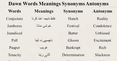 Vocabulary words with meaning English/Urdu and Usage/Sentence