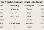 Exam vocabulary builder English to Urdu with pdf