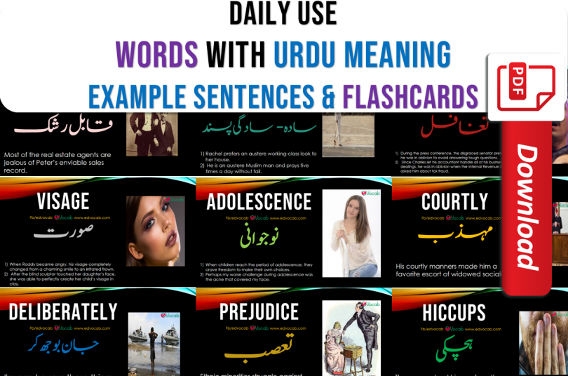 Daily use English words pdf with urdu meaning and example sentences with pdf flashcards