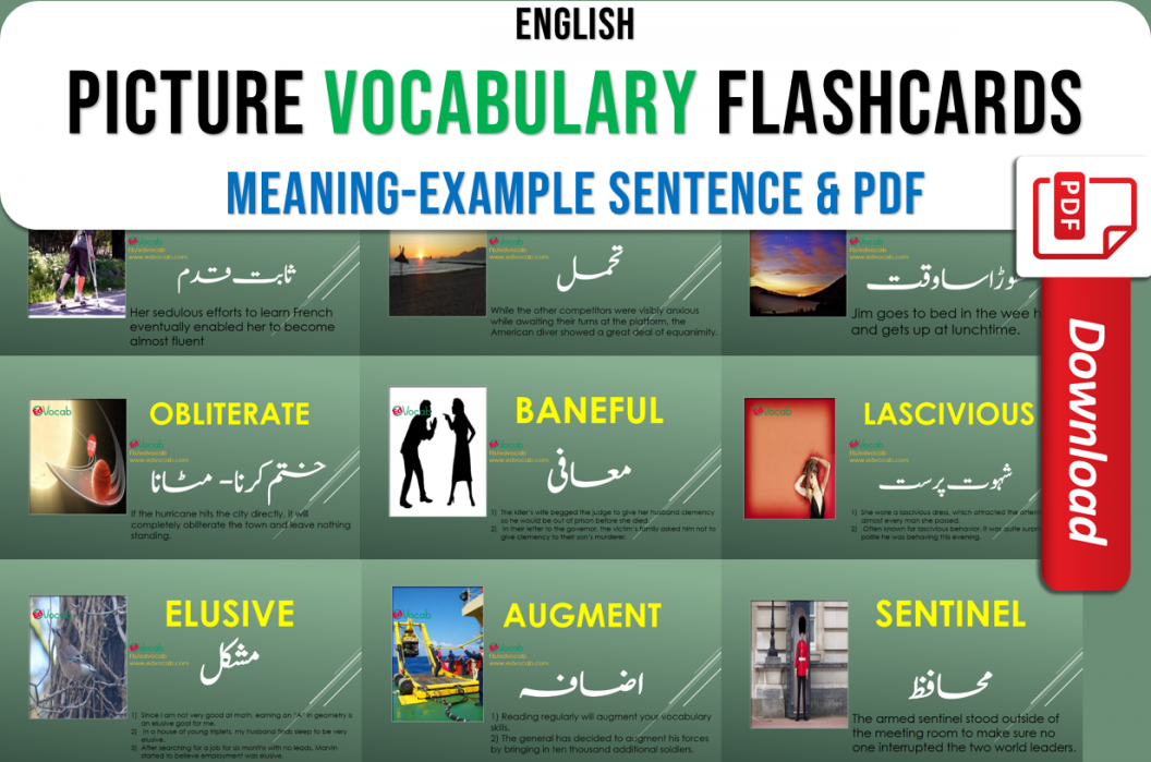 picture-vocabulary-flashcards-vocabulary-with-meaning-and-sentence-pdf