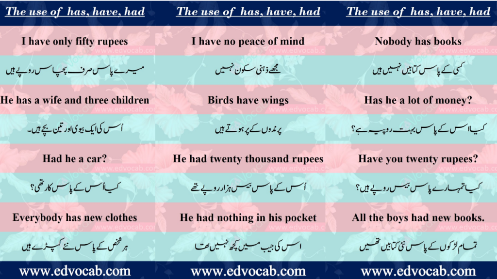 use-of-has-have-had-in-sentences-pdf-when-to-use-had-in-a-sentence-edvocab