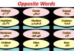 Vocabulary Words with meaning Synonyms and Antonyms pdf