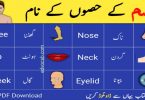 Body parts name in english Parts of body names with pictures 1