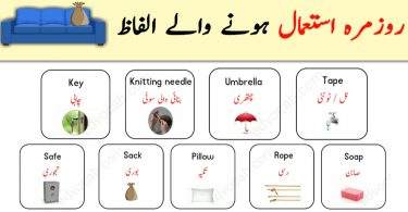 Daily Used Vocabulary with Urdu Meanings