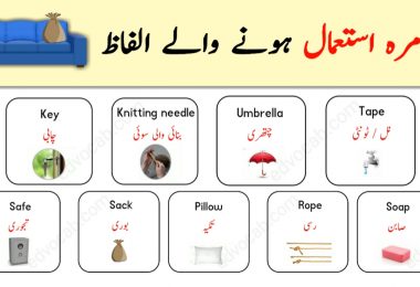 Daily Used Vocabulary with Urdu Meanings