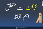Cricket Vocabulary in Urdu