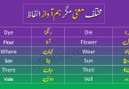 Homophones in Urdu