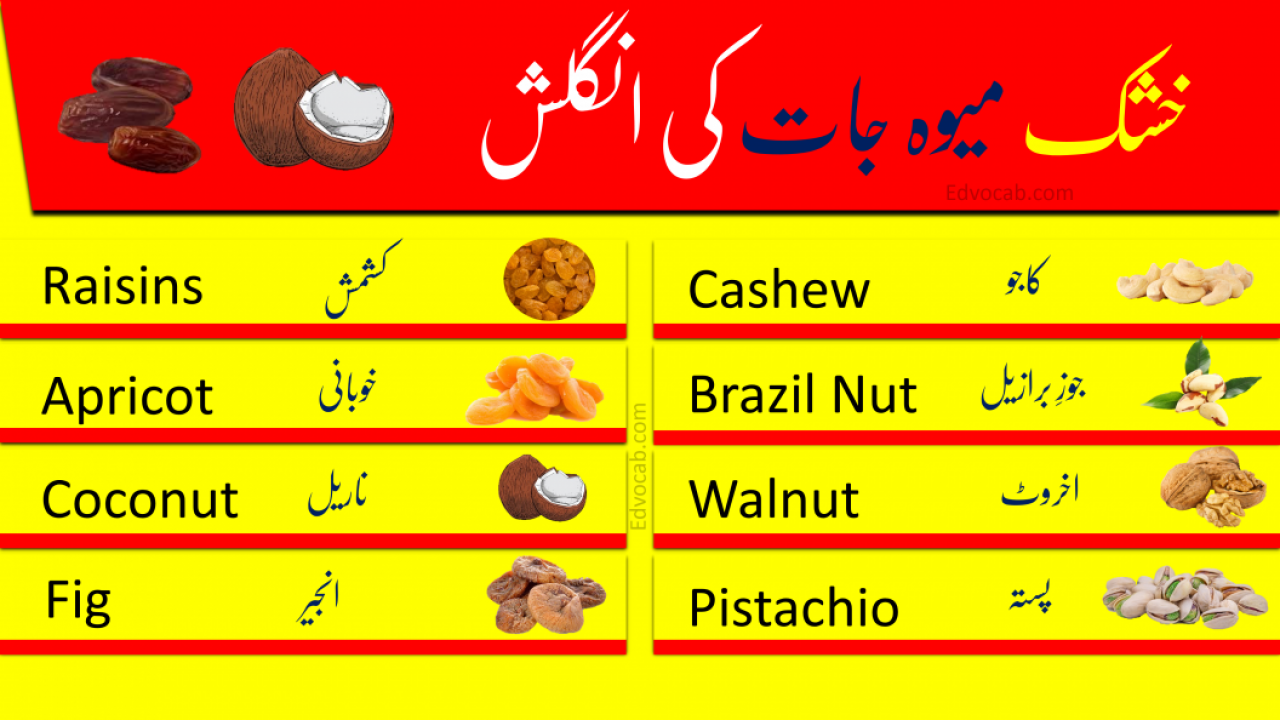 Names Of Dry Fruits With Urdu And Hindi Meanings Edvocab