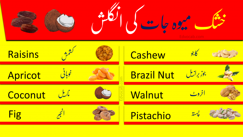 Click below to Download Names of Dry Fruits Pdf booklet Now