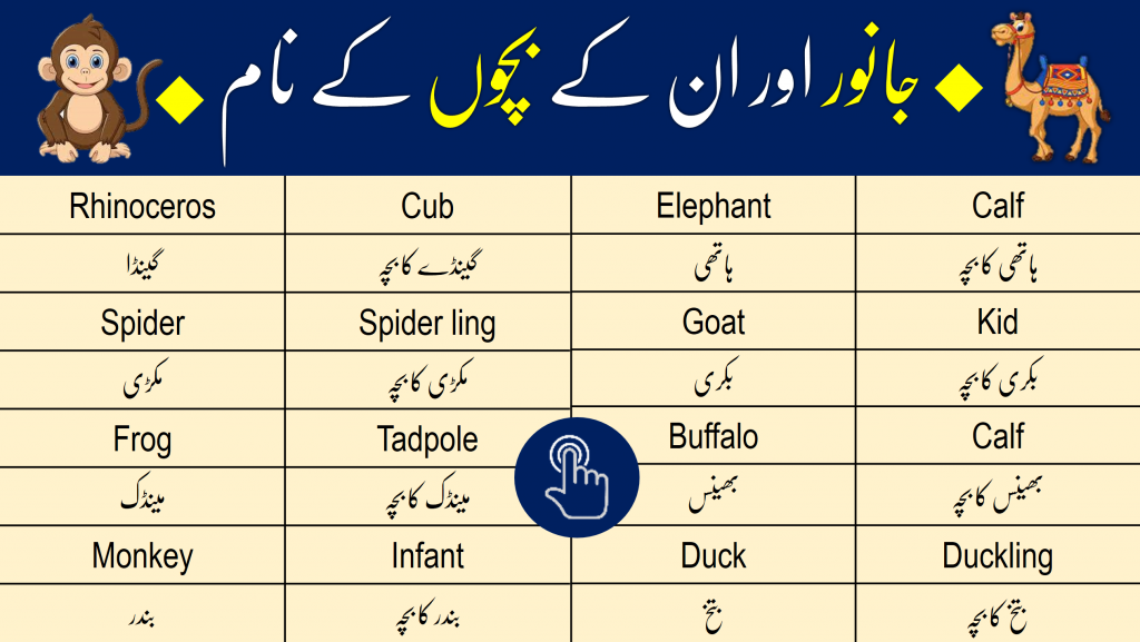 safari name meaning urdu