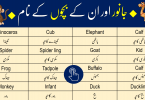 Click to Download Animals Names in English and Urdu PDF Booklet