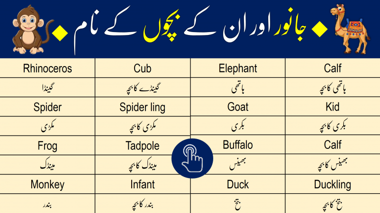 animals-name-in-urdu-with-pictures-pdf-edvocab