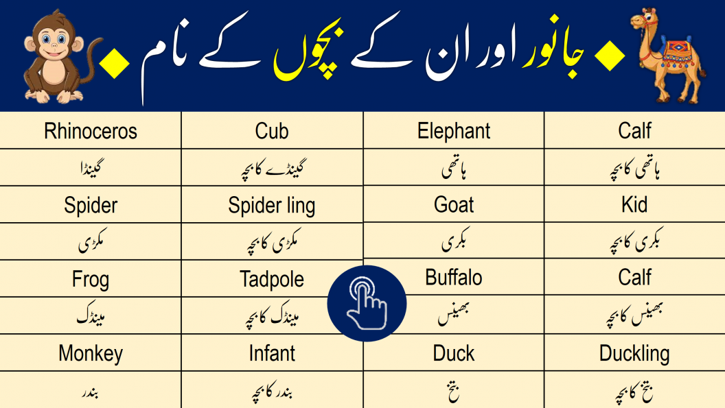 Animals Name in Urdu with Pictures PDF | EDVocab