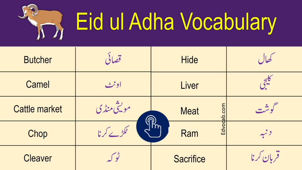 eid-ul-adha-vocabulary-words-in-hindi-and-urdu-edvocab