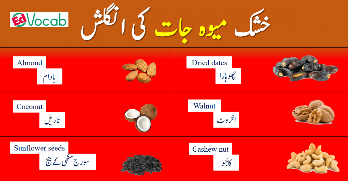 names-of-dry-fruits-in-urdu-and-english-edvocab